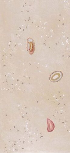 GEODAS BEIGE DECOR