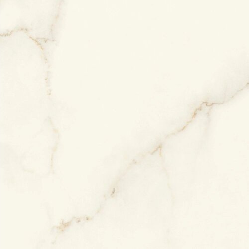 Marvel Calacatta Apuano 60x60 Lappato