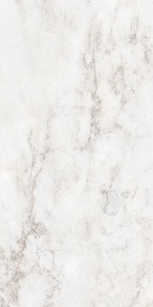 60X120 PATAGONIA BIANCO LUC/RET 9MM
