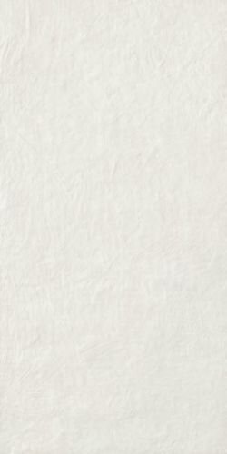 TASTY OYSTER RET 60X120