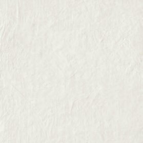 TASTY OYSTER RET 60X60
