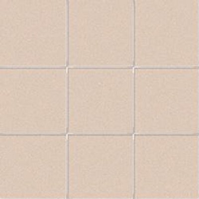 10X10 ARGON F.B. RETE