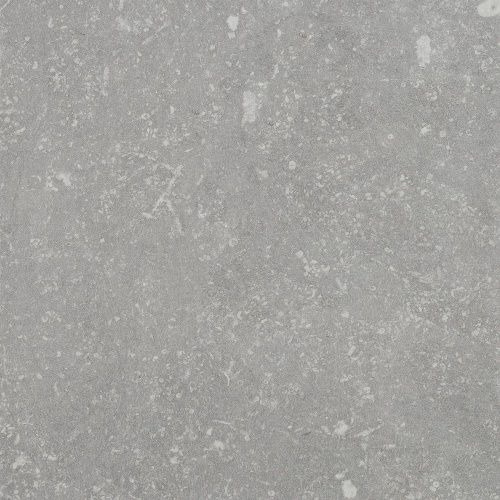 ARDENNE GRIGIO R11 20X20