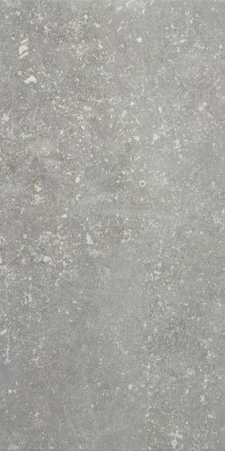 ARDENNE GRIGIO R11 20X40