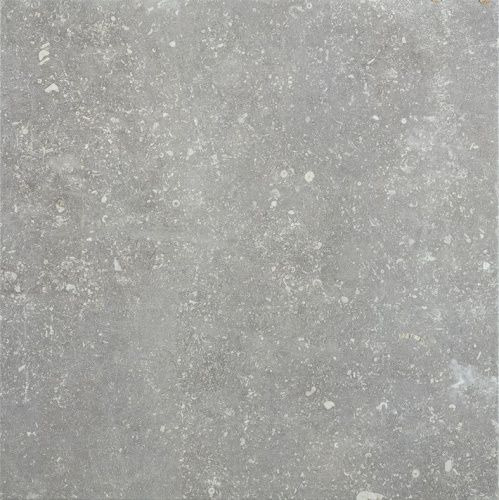 ARDENNE GRIGIO R11 60,8X60,8