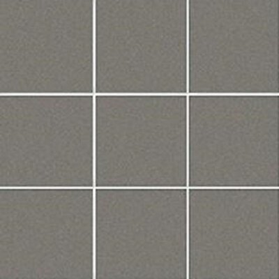 10X10 XENO F.B. RETE