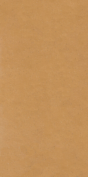 EARTHTECH SAVANNAH_GROUND PTV 9MM 60X120 R