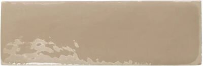 REBELS TOPO GLOSS