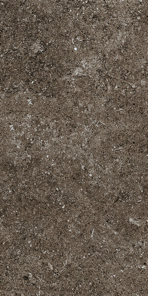 SENSI BROWN FOSSIL 40X80 RET