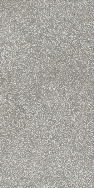 SENSI GREY LITHOS 40X80 RETT