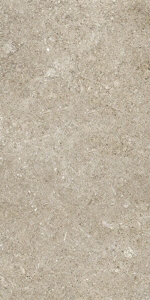 SENSI IVORY FOSSIL 40X80 RET