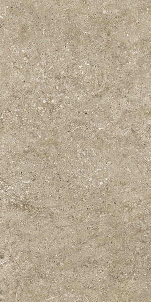 SENSI TAUPE FOSSIL R+PTV 40X80 RETT