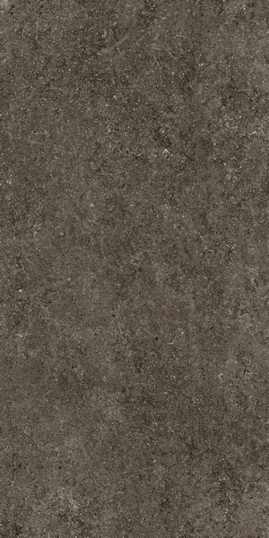 SENSI BROWN FOSSIL 60X120 RET