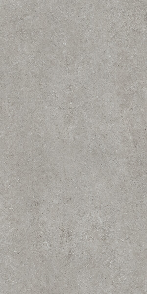 SENSI GREY FOSSIL 60X120 RET