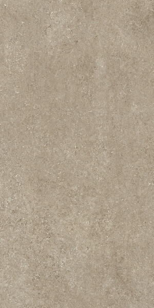 SENSI TAUPE FOSSIL 60X120 RET