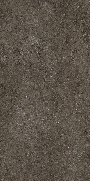 SENSI BROWN FOSSIL R+PTV 60X120 RET