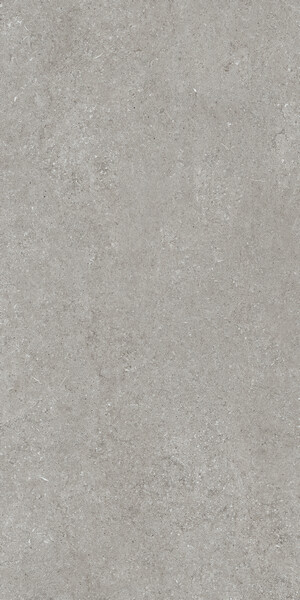 SENSI GREY FOSSIL R+PTV 60X120 RET