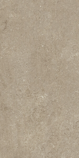 SENSI TAUPE FOSSIL R+PTV 60X120 RET