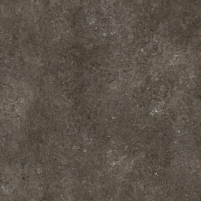 SENSI BROWN FOSSIL NAT 6MM 120X120 R
