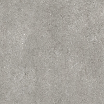 SENSI GREY FOSSIL NAT 6MM 120X120 R