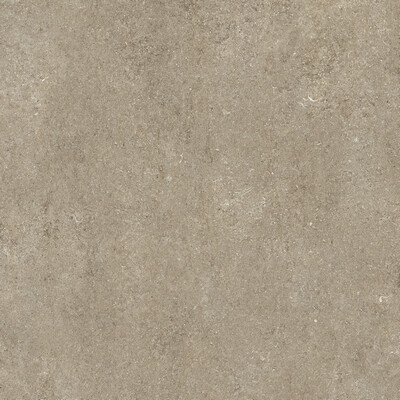 SENSI TAUPE FOSSIL NAT 6MM 120X120 R