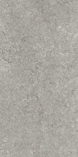 SENSI GREY FOSSIL NAT 6MM 60X120 R