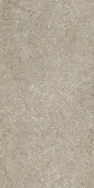 SENSI IVORY FOSSIL NAT 6MM 60X120 R