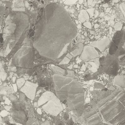 Forte Dei Marmi Ceppo Apuano Pearl 80x80 Lappato