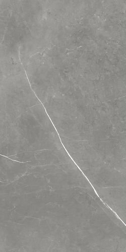 Forte Dei Marmi Elegant Grey Rett 60x120 Cerato