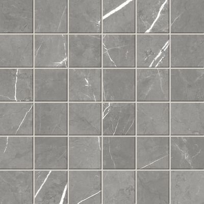 Forte Dei Marmi Elegant Grey Mosaic Cerato 30x30