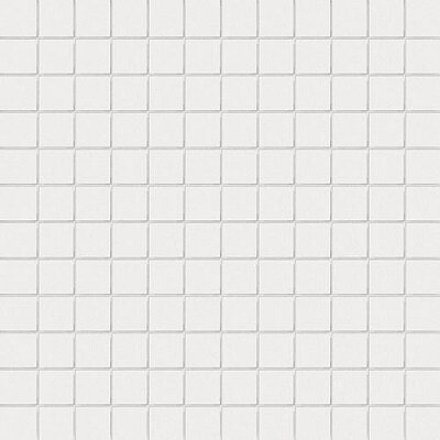 2,5X2,5 BIANCO SU RETE