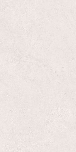 CLUNY SILVER AS/60X120/C/R