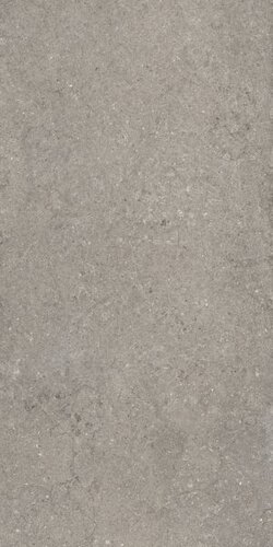 Discover Grey 60X120 Ret