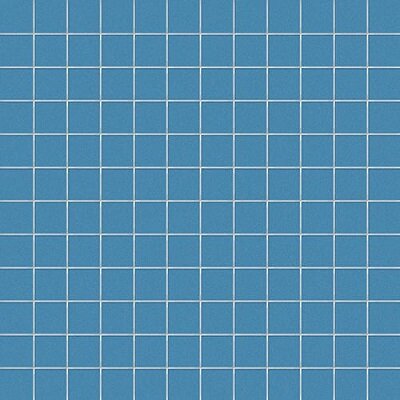 2,5X2,5 GALASSIA SU RETE