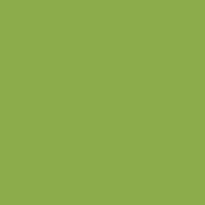 5X5 KIWI
