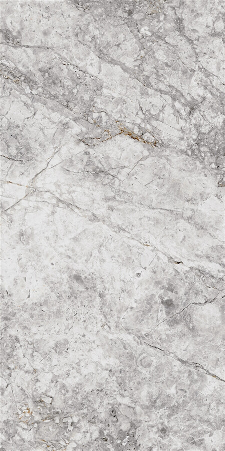 60X120 NATRON GREY LAPPATO RECT.POR.TILE