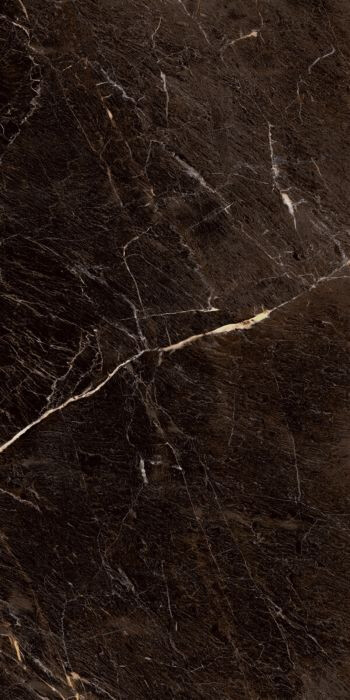 60X120 JAVA BROWN POLISHED RC.PR.TL