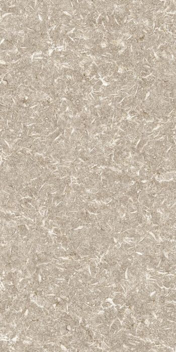 TRACK BEIGE NATURAL