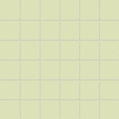 5X5 FIENO / RETE