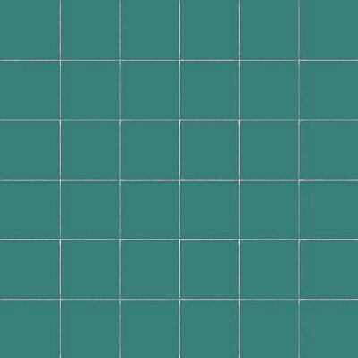 5X5 SALVIA / RETE