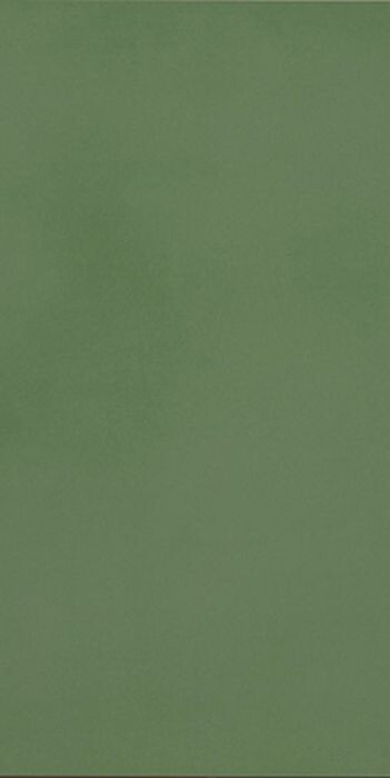 R-EVOLUTION GREEN R10 9MM