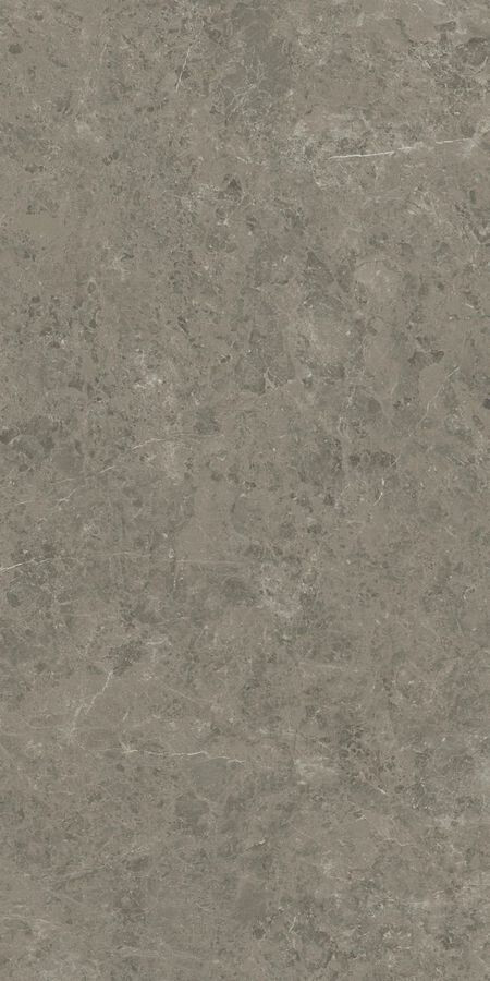 Marvel Meraviglia Grigio Elegante 120x240 Lappato