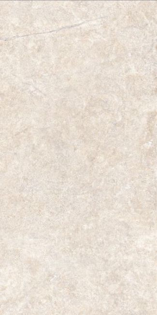 ALCHEMY EARTH/50X100X2/A/R