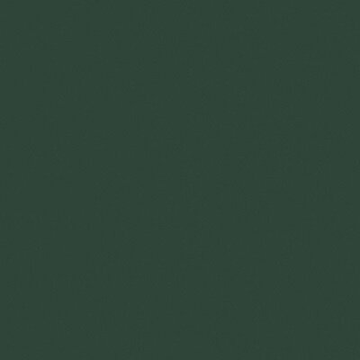 CRAYONS CERIM MOSS NAT 6MM 120X120R