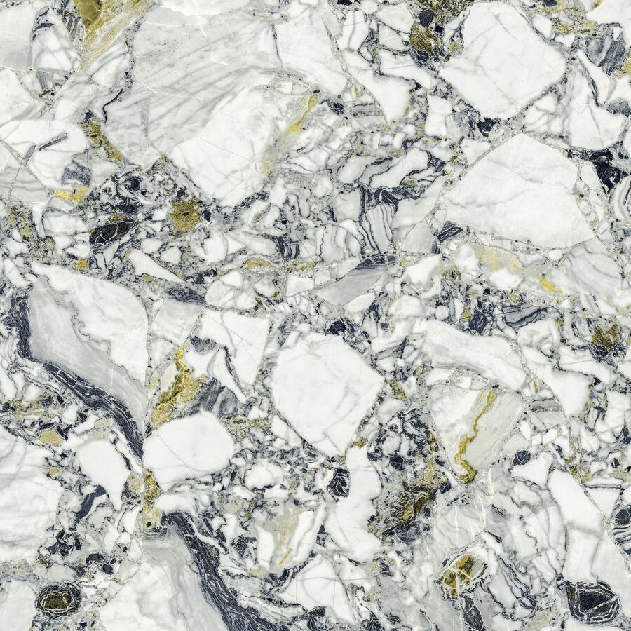 Forte Dei Marmi Quark Ceppo Apuano Forest 80x80 Lappato