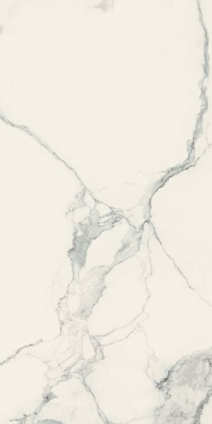 I CLASSICI STATUARIO SOFT 60x120 R