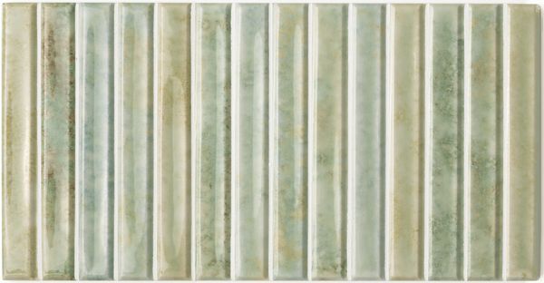 POTTERS BARS AGAVE