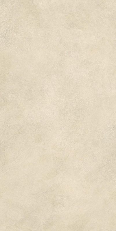 Boost Expression Camel 60x120