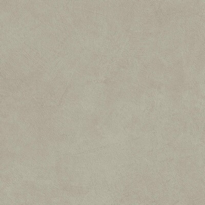Boost Natural Pro Dove 80x80