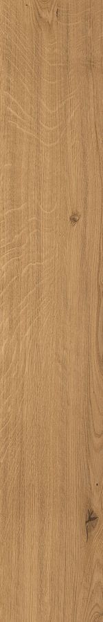 Log Amber Oak Forest 20x120 Grip
